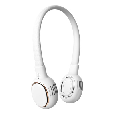 L61 Costco Ordered Neck Fan